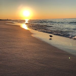 Meet your Posher, Janell